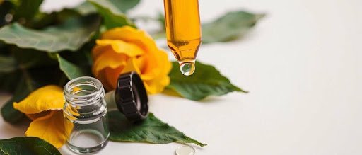 Which Skincare Ingredients Deserve Attention in 2027